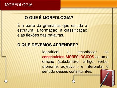 Define Morfologia - PPT - MORFOLOGIA PowerPoint Presentation, free download - ID:6874577