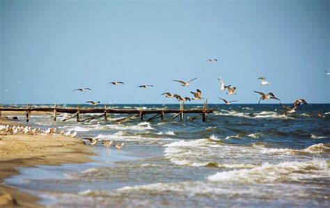 Romanian Beaches - ABC Travel Romania