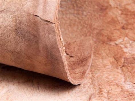 du cuir vegetal fabrique avec des champignons