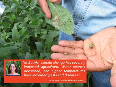 Sara Crespo Suarez: "Agriculture in Bolivia is severely impacted by