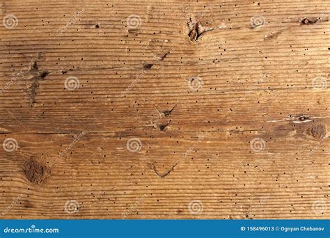 Wood Texture with Termite Holes Stock Image - Image of hollow, insects ...
