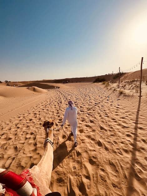 Premium Photo | Camel riding