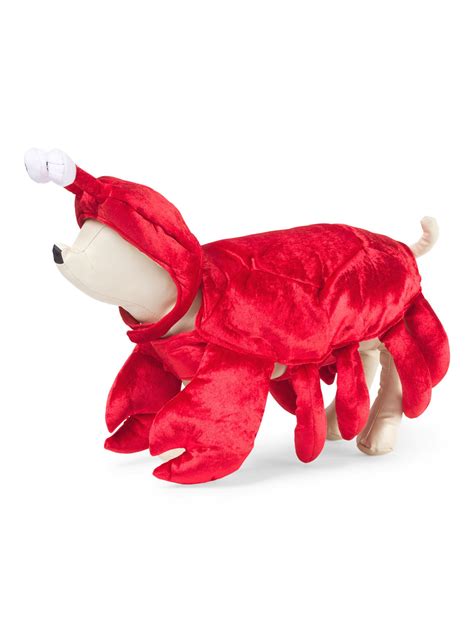 Tj Maxx Halloween Costumes - 426 Tech