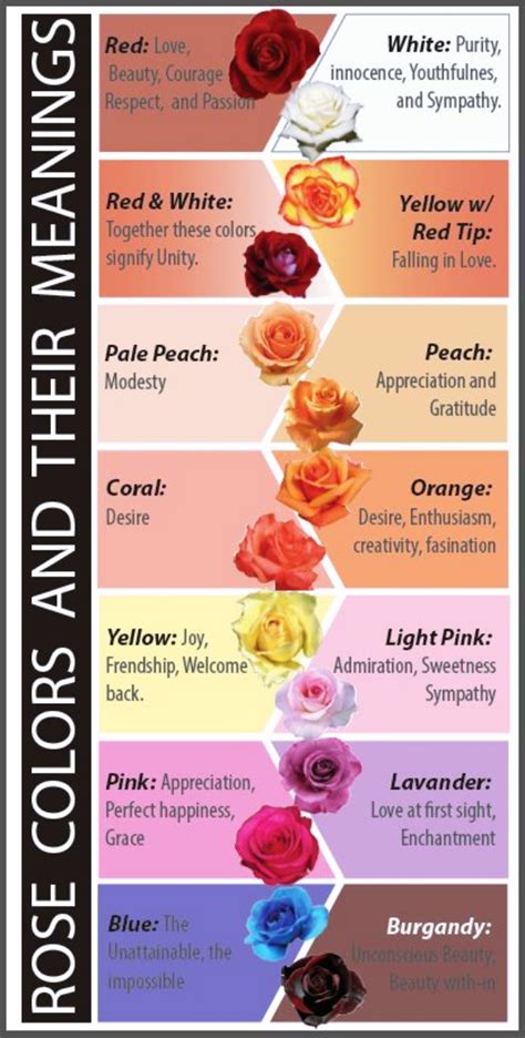 color rose means