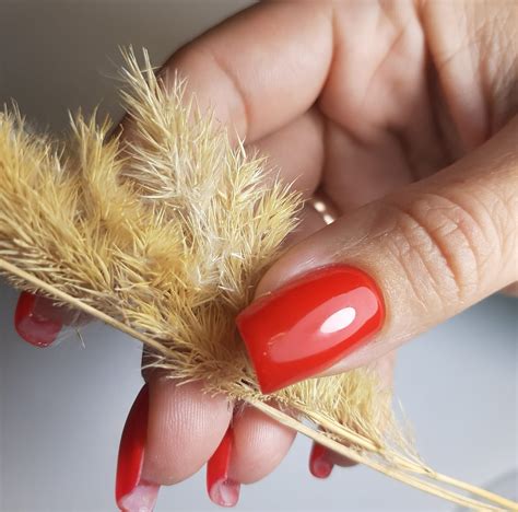 Salon Beauty Flora - Заживляющая мазь от трещин Решает проблему жесткой ...