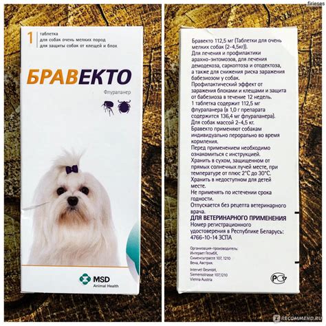 Как правильно применять таблетки Бравекто для кошки: обзор инструкции