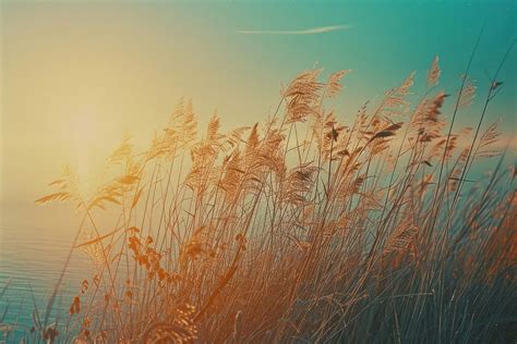 sea breeze outdoors nature plant premium photo rawpixel