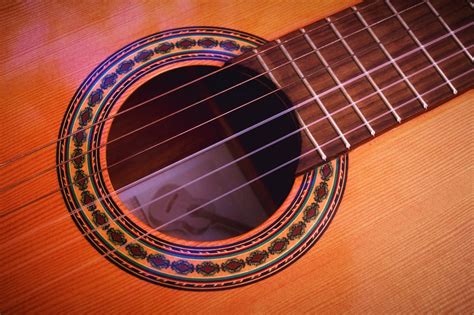 What Type of Wood is Best for Guitars? - Wooden Earth