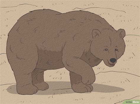 Bear Symbolic Meaning: Across Cultures & Mythologies