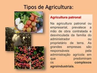O Que É Agricultura Patronal
