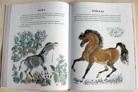 Книга: Моя первая зоология - Евгений Чарушин. Купить книгу, читать ...