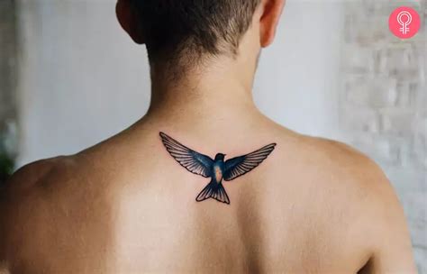 18 Stunning Swallow Tattoo Designs: Inspiration & Ideas