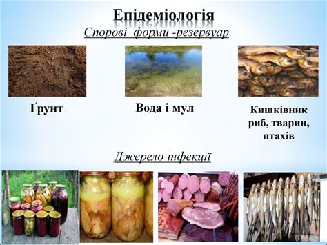 Ботулізм - презентация онлайн