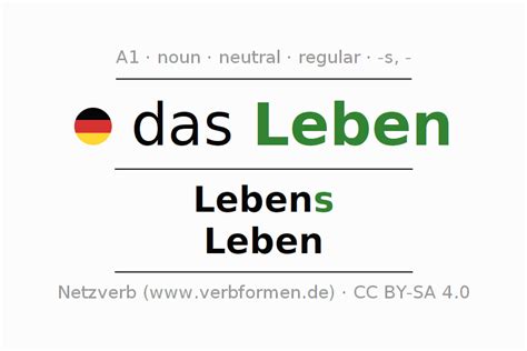 declension german leben  cases   noun plural article