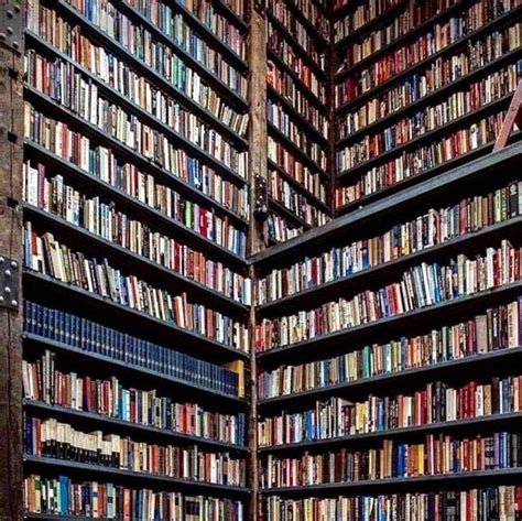 Книжные полки