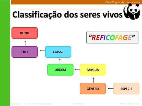 Qual A Importância Da Classificação Dos Seres Vivos