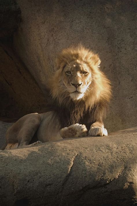 +Big+Ass+Twerk Videos, Download The BEST Free 4k Stock Video Footage