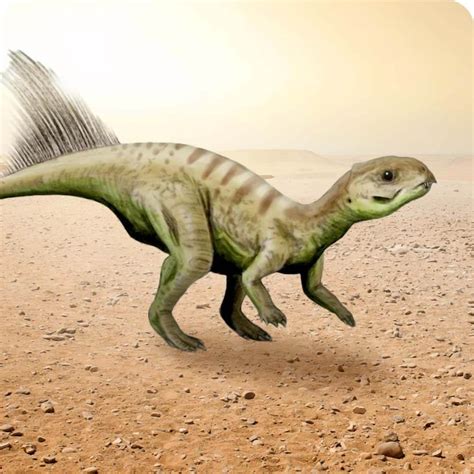 chaoyangsaurus cards  universe   wiki fandom