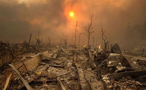 The Best pictures of 2008. Part 3 (37 photos) - Izismile.com