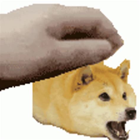 Doge Pet Sticker - Doge Pet - Descobrir e Compartilhar GIFs