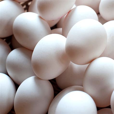 telor ayam kampung village chicken eggs pasar rakyat bali