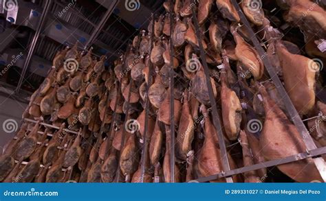 Jamon Serrano Pig Legs Factory Hanging in a Industry. Iberian Ham ...