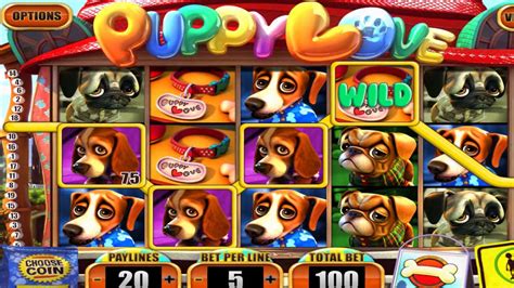 Лучшие онлайн казино с Multi Gaminator на деньги | Мульти Гаминаторы ...