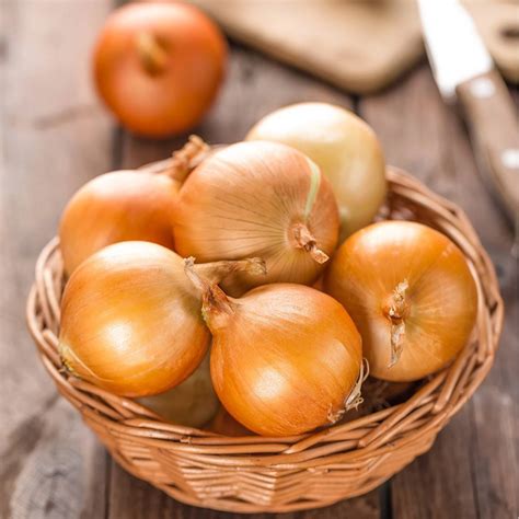 Dutch Yellow Onion Seeds 🌳🌼🌸🌿🌱🍉