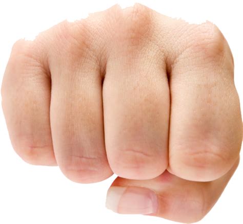 Download Punch Png Image - 1 Portion Of Fruit - HD Transparent PNG ...