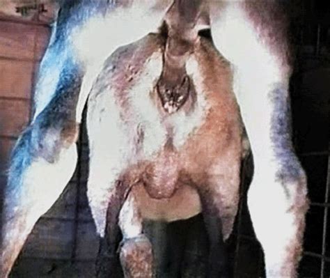 detlefsattler.tumblr.com - Tumbex