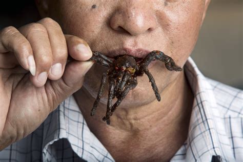 TasteAtlas ranks the world's worst-rated foods
