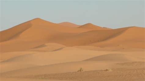 Banco de imagens : panorama, deserto, duna, Dunas, Pastagem, Marrocos ...