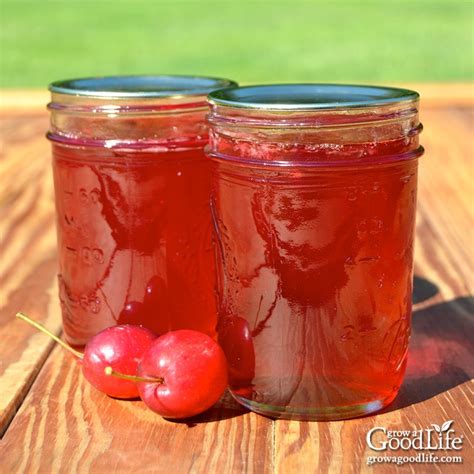 Ball Canning Apple Jelly Recipe | Deporecipe.co