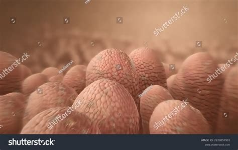 Pathogenic Bacteria 3d Medical Illustration Stock Illustration ...