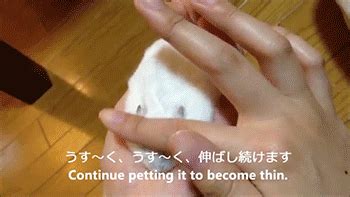 【動画】うす～いハムスターの作り方 | Hinemosu