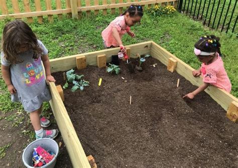 planting growing curiosity community school