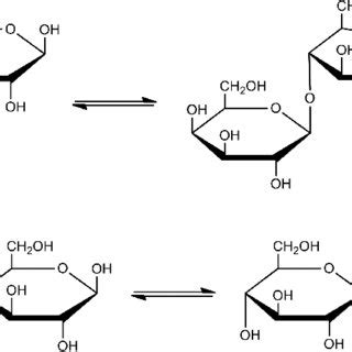 4 Maltose structure. Chemical structure of maltose... | Download ...