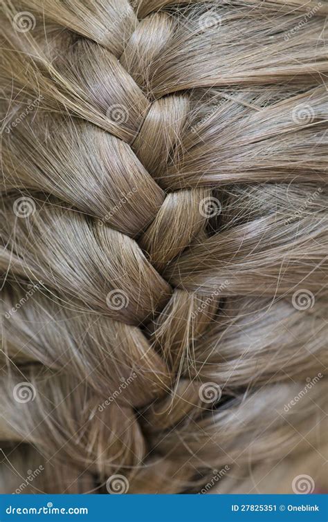 braided hair stock image image  female brunette salon