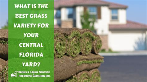 What is the Best Grass Variety for Your Central Florida Yard? – Welcome ...