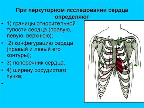 Методы исследования сердечно-сосудистой системы. Осмотр и пальпация ...