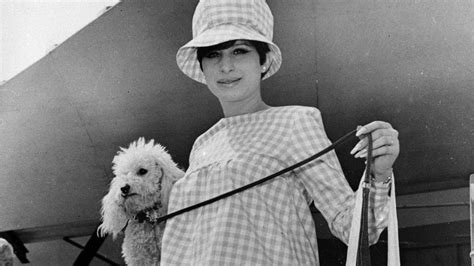 Barbra Streisand mourns her 'beloved girl,' Sammie the dog | The Times ...