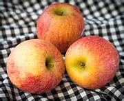 categoryapples   netherlands wikimedia commons