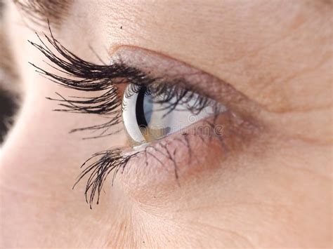 Close-up of Eye, the Human Eye Sideways,girl S Eyes with Big Eyelashes ...