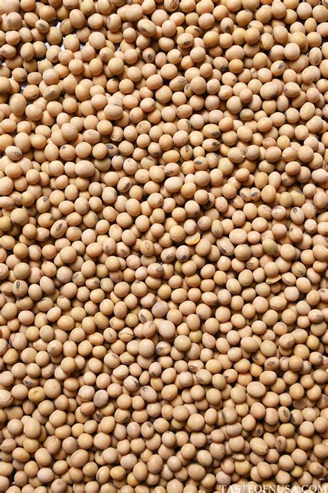 What Is Soybean? - Taste of Nusa