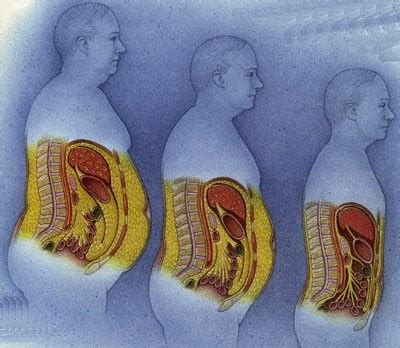 FitBusters: Does Fat Turn Into Muscle? — Digg Deep Fitness & Nutrition