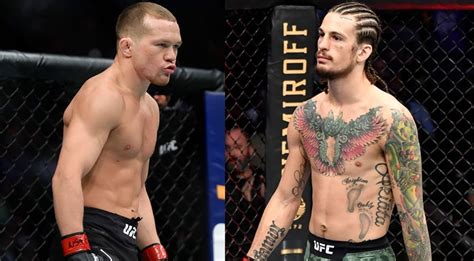 Yan on a possible fight with Sean O'Malley – RingSide24