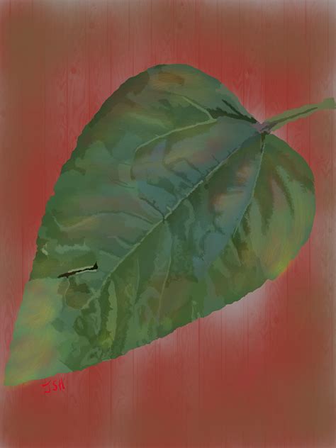 'The Leaf Project' :: Behance