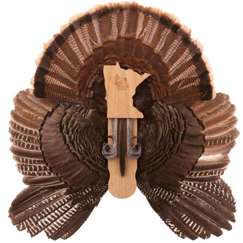 full mount   wall outdoors