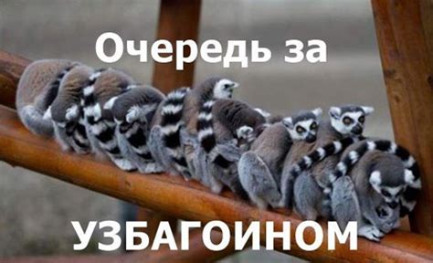 Прикольные картинки "Узбагойся!" (43 фото)