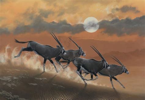 Oryx | Artists for Conservation